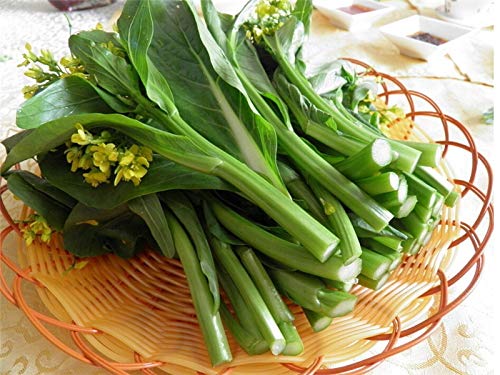 PlenTree Bonsai 100 pcs/Bag Choy Sum s Cabbage Green Vegetable for Home Garden: Green