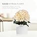 Hydrangea Silk Flowers Champagne 5 Heads SOLEDI Artificial Flower Arrangements Bunch Bridal Bouquet Wedding Bouquet for Home Garden Party Decoration Home Decor