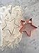 Copper Christmas Cookie Cutter Set, BONUS Handles, Fun Holiday Baking In Your Home Kitchen, Modern Tools Add Vintage Charm, Set of Gingerbread Man, Star & Tree, Beautifully Gift-Boxed