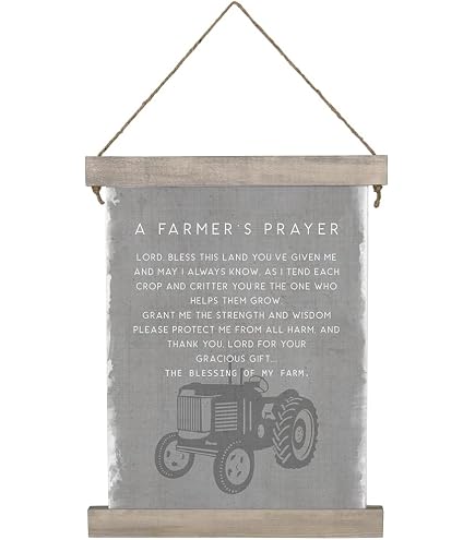 Aazon.co: Siply Said, INC Farhouse Fraes Faith Sign - God Grant e