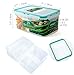 Bento Box Lunch Container with Dividers - Removable compartments, Airtight, Leakproof, Fridge, Microwave and Dishwasher Safe (41 oz)