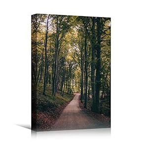 signwin Canvas Wall Art Green Forest Dramatic Forest...