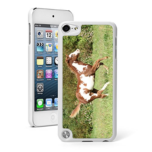 For Apple iPod Touch 5th 6th Generation Hard Back Case Cover