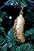 Clever Creations Pickle Christmas Ornament Set Metallic Pickles in Silver, Gold, Red and Green | 4 Pack | Festive Holiday Décor | Lightweight and Shatter Resistant | Hangers Included | 1.5