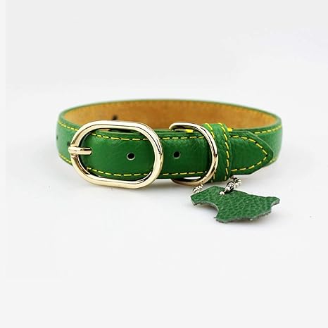 Xiaolangtian Collier De Pignon Personnalise Pour Petits Accessoires De Chien En Cuir De Produit Pour Animaux De Compagnie Pour Colliers De Chat Chaton Chiot Chihuahua Vert M 1 5x35cm Amazon Fr Animalerie