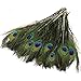 Herebuy8 50pcs Real Natural Peacock Tail Eyes Feathers Perfect for Wedding Party Arts And Crafts Home Decorations DIY (50pcs)