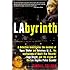 LAbyrinth: A Detective Investigates the Murders of Tupac Shakur and Notorious B.I.G., the Implication of Death Row Records' Suge Knight, and the Origins of the Los Angeles Police Scandal