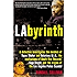 Labyrinth: A Detective Investigates the Murders of Tupac Shakur and Notorious B.I.G., the Implication of Death Row Records' Suge Knight, and the Origins of the Los Angeles Police Scandal