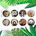 Chinco 500 Pieces Animal Stickers Zoo Animal Roll Stickers 1-1/2 Inch Self Adhesive Label Animal Shape Wall Decals for Kids Party Favors, 8 Styles