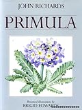 Primula
