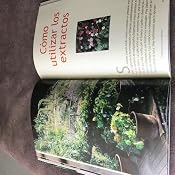 Plantas para curar plantas: Para tratar sin química los problemas ...