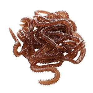 Magideal 1 Boîte Leurre Pêche Doux De Ver De Terre Imitation Appât Aromatisé Équipement De Pêche