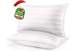 DIORIS Pillows Queen Size Set of 2 - Luxury Hotel Collection Bed Pillows for Sleeping, Supportive Side Sleeper Pillow, Fluffy Down Alternative Microfiber Filled for Back, Stomach Sleepers