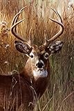 RunFar DIY 5D Diamond Painting Embroidery Cross Stitch Craft Diamond Painting by Number Kits,Sika Deer Pattern,Home Decor Gift 30x40cm