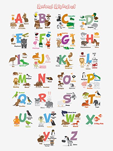 ABC Poster for Kids; Alphabet Posters for Toddlers