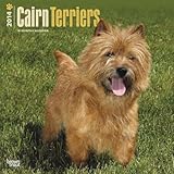 Cairn Terriers - 2014 Calendar