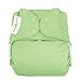 bumGenius Freetime All-in-One One-Size Snap Closure Cloth Diaper (Grasshopper)
