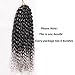 12 Inch Short Passion Twist Hair 6 Bundles Marlybob Kinky Curly Crochet Hair for Black Women Jerry Curly Braiding Hair (6 Bundles 12 Inch, 1B/Gray)