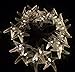 echosari Battery Operated Warm White 30 LED Fairy String Lights Starfish Shaped with Remote Indoor&Outdoor Used for Christmas, Party, Wedding, New Year Decorations, Etc