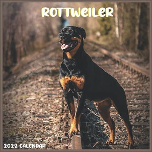 Rottweiler 2022 Calendar: Official Rottweiler Dog Breed Calendar 2022, 16 Months: 2022-2023, Pro Calendar: 9798746019523: Amazon.com: Books