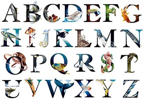 SanerLian Waterproof Temporary Fake Tattoo Stickers English Alphabet Ocean Whale Fish Jellyfish Set of 2