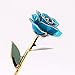 zjchao 24K Blue Rose for Her, Dipped Gold Rose Love Real Golden Plated Preserved Forever Flower with Rose Stand Present for Wife/Girlfriend/Friend (Blue)