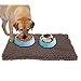 Ultra Absorbent Dog Door Mat for Dirty Dog, Microfiber Mat for Food and Water Bowle, Exrta Thick Pet Bed and Kennel Pad - Prevent Mud Dirt, Durable, Quick Drying, Washable, Non-Slip 30