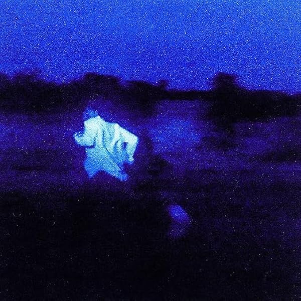 Daniel Caesar NEVER ENOUGH 12インチレコード未開封 Daniel Caesar NEVER ENOUGH 12インチレコード未開封 - メルカリ