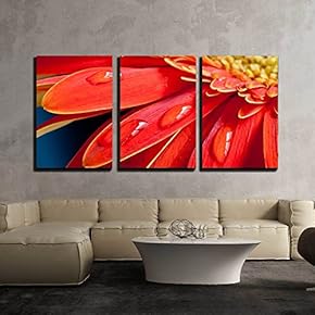 3 Piece Canvas Wall Art - Red Gebera Flower Close Up with Water Drops on The Petal - Modern Home Art Stretched and Framed Ready to Hang - 16"x24"x3 Panels