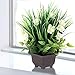 Binnny Flower Artificial Potted Plant with Gardenia Flowers in Brown Plastic Planter for Home, Office, Indoor and Outdoor Occasions Decor