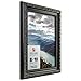 Craig Frames Ancien Ornate, Antique Black Picture Frame, 16 by 20-Inch