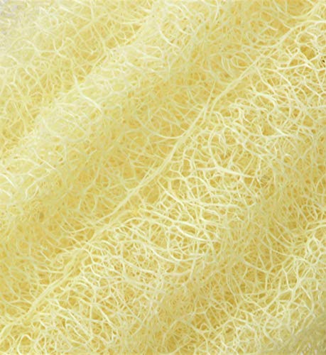 NileCart Natural Organic Egyptian Loofah Sponges, Large Exfoliating Shower Loofah Body Scrubbers SPA Beauty Bath and radiant skin (Pack of 3-6.5 In.)