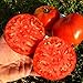 Seeds Red Beefsteak Tomato Ukrainskyy Hihant-Ukrainian Giant Organic Heirloom
