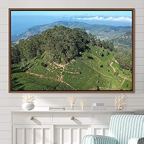 signwin Framed Canvas Wall Art Greenlands Aerial Dark...