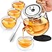 Glass Teapot Set with Infuser for Loose Tea - 1100ml Stove Top Safe Borosilicate Clear Glass Tea Pot with 4 Small Tea Cups, Silicone Trivet, & Cleaning Brush | Perfect Tea Set for Gift or Entertaining