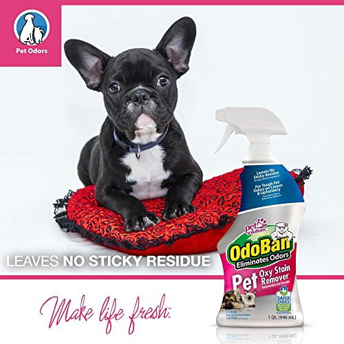 pet solutions odoban