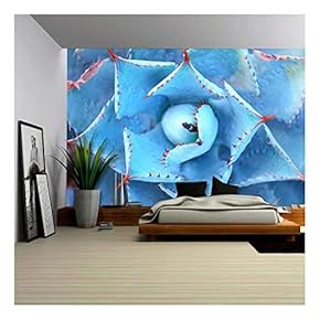 Macro of Succulent Plant in The Desert - Removable Wall Mural | Self-Adhesive Large Wallpaper - 66x96 inches