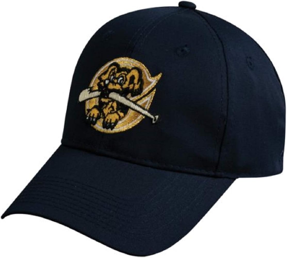 Charleston Riverdogs Youth Adjustable Velcro Cap Sports