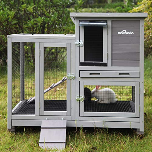 outdoor rabbit hutch