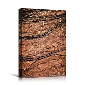 signwin Canvas Wall Art Organic Arrangement Abstract Colorful...