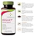 LifeSeasons Adrenal-T - Adrenal Fatigue Support Supplement - Helps Lower Cortisol - Avoid Burnout - Aids Stress Management - Energizing - with Ashwagandha Adaptogens - 60 Capsules