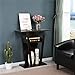 Topeakmart V Console Sofa Entry Table with Two Shelves Hall Furnishings, Espresso