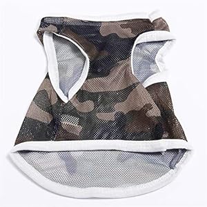 WFWUK Cappotto per Cani Cappottino Cane Estate Estate Vestiti per Cani Vestiti del Gattino Vestiti per Animali Domestici… WFWUK WFWUK Cappotto per Cani Cappottino Cane Estate Estate Vestiti per Cani Vestiti del Gattino Vestiti per Animali Domestici…