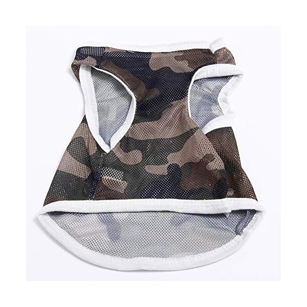 WFWUK Cappotto per Cani Cappottino Cane Estate Estate Vestiti per Cani Vestiti del Gattino Vestiti per Animali Domestici… WFWUK WFWUK Cappotto per Cani Cappottino Cane Estate Estate Vestiti per Cani Vestiti del Gattino Vestiti per Animali Domestici…