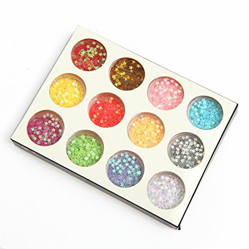 DIY 12 Colors 2 Sets 24 Jars of Flower & Star Iridescent Glitter Sequins Spangle for Nail Art Tip Deco Crafts Project - Thumbnail 2