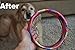 HurriK9 100+ Foot Flying Ring Launcher For Dogs (Starter Pack Extra Tough, Launcher + 3 Extra Tough Spandex Rings)
