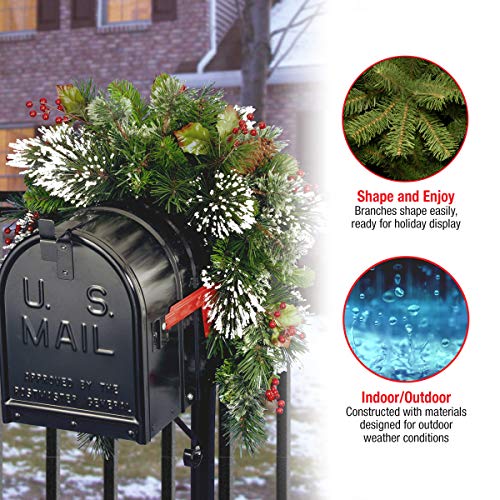 National Tree Company Prelit Artificial Christmas Mail Box Swag Flocked with Mixed