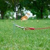 Amazon Basics Dog Tie Out Cable Up to 125 lbs 230 ft Red view 3