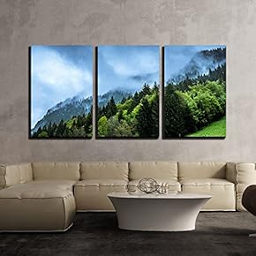 3 Piece Canvas Wall Art - Nature Landscape with Fog in The Forest - Modern Home Art Stretched and Framed Ready to Hang - 16"x24"x3 Panels