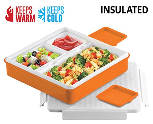 best lunch container to keep food hot